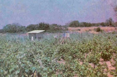 Tahmin-uyarı asal gözlem istasyonu